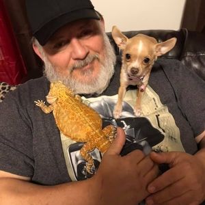 Meet your Posher, Angel